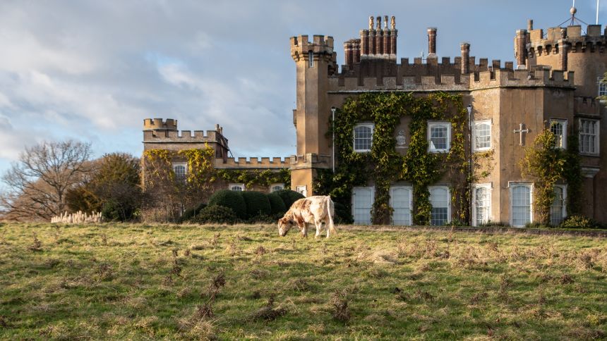 Земя: Ревитализация