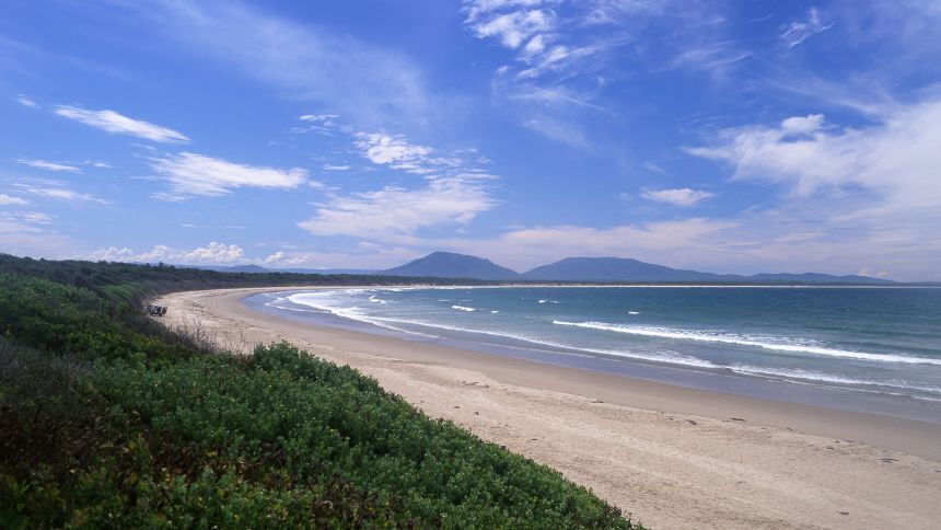 Акула уби турист.
