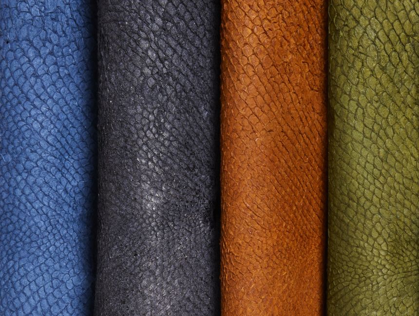 Инвазивни Кожи