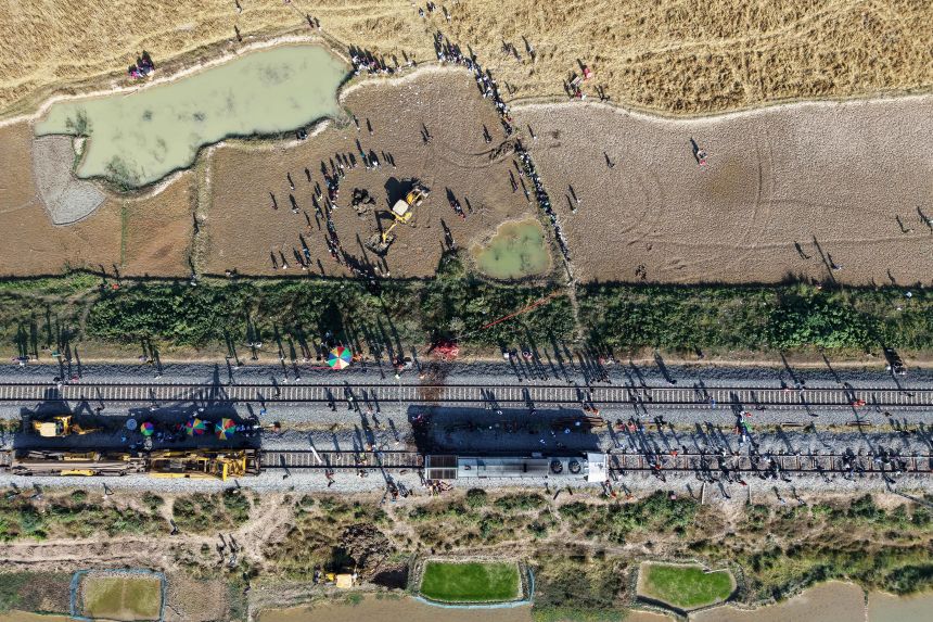 Слонове в влак.
