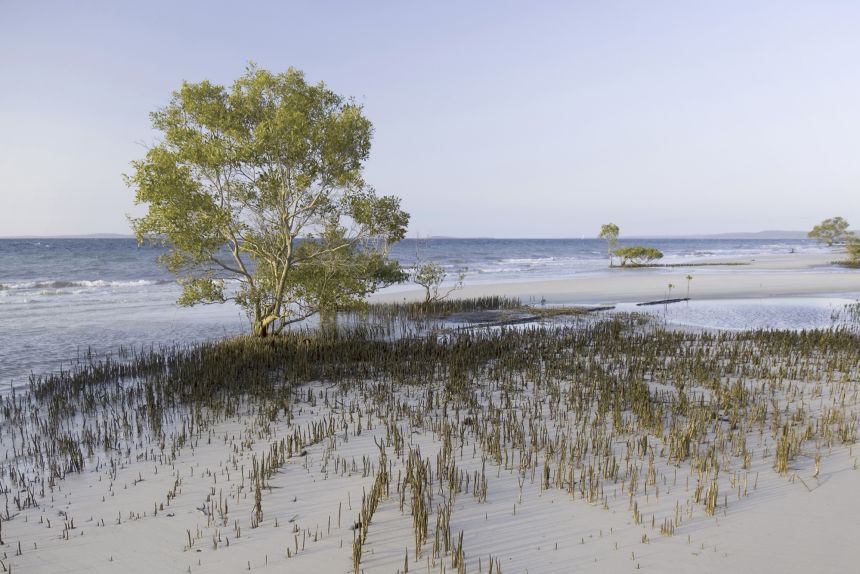 Квинсланд: Смърт на млада жена